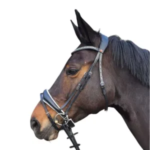 Rossner Catania Hoofdstel 20036_catania1