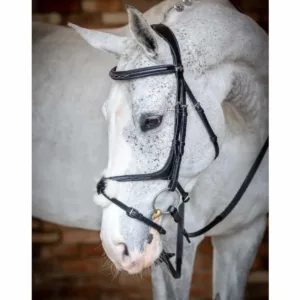 LeMieux Grackle hoofdstel 20059-01-a1