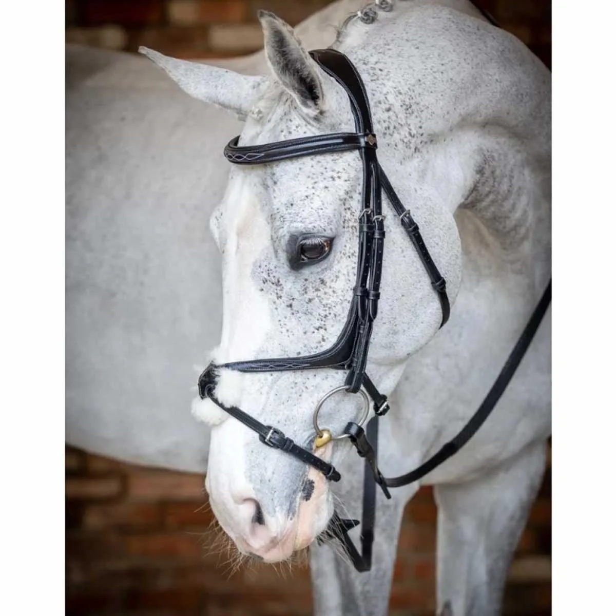 LeMieux Grackle hoofdstel 20059-01-a1