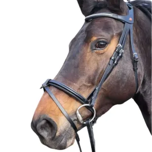 Rossner Ferrara hoofdstel 20060_ferrara1