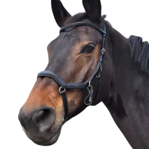 Rossner Freedom hoofdstel 20061_freedom_zwart1