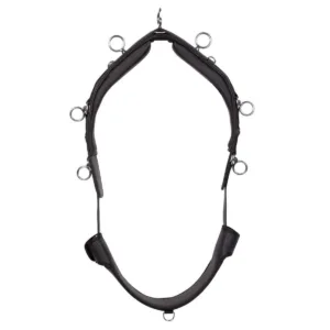 Pagony Profi Longeersingel 20092-01-a_21