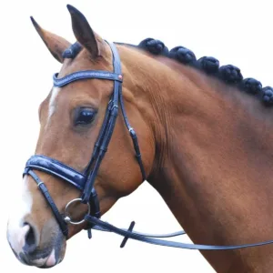 Rossner Lak hoofdstel 20698-10-b1