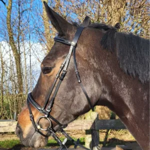 Pagony Basic gecomb. hoofdstel 21037-01-c1