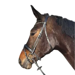 Rossner Demonte hoofdstel 21252_demonte1