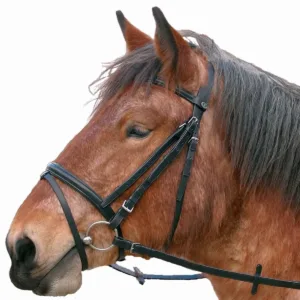 Kieffer koudbloed hoofdstel 20360-01-b[1]