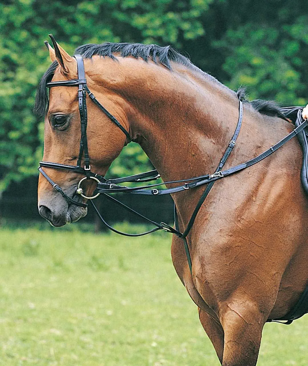 Pagony Thiedeman-teugel zwart