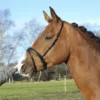 Kieffer Gecombineerde neusriem 20564-01-b1