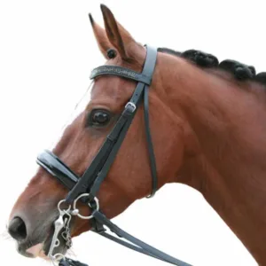 Rossner Lak stang & trens hoofdstel 20721-01-b1