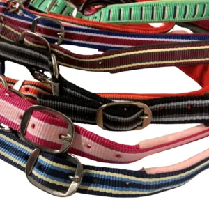 Budget Rider Stripe Halster 40036-01-c
