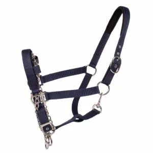 Rossner Controller Halster 40148-10-a1