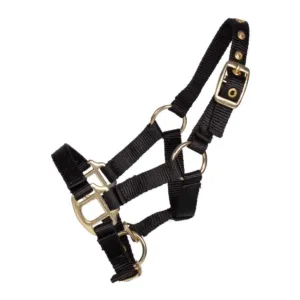 Pagony Lucky veulenhalster - Zwart, 4