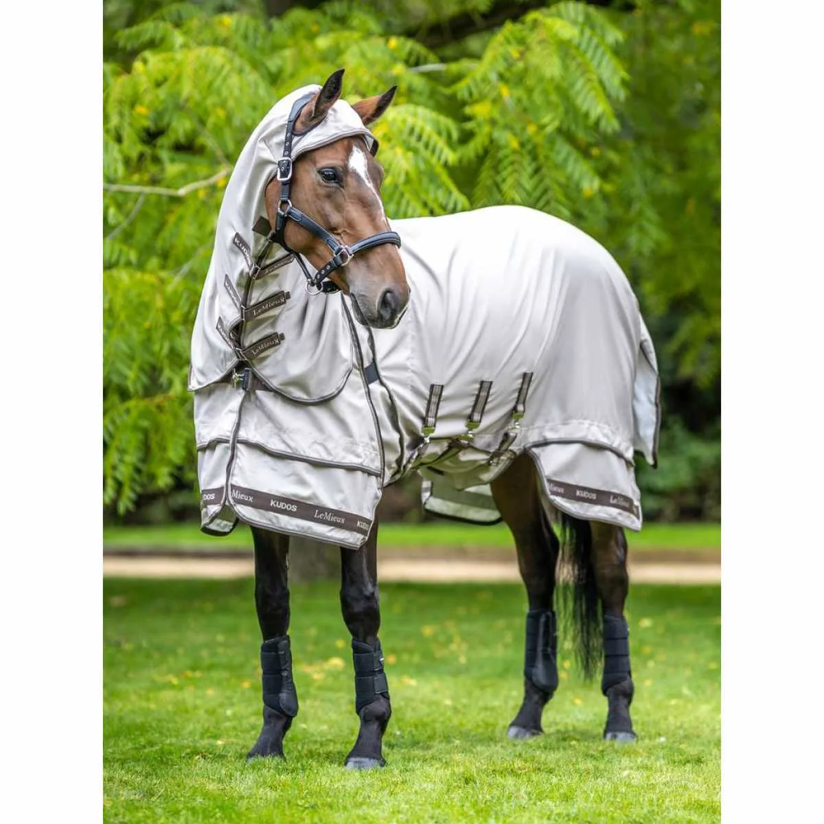 LeMieux Kudos Sweet Itch Rug 40317-06-b1