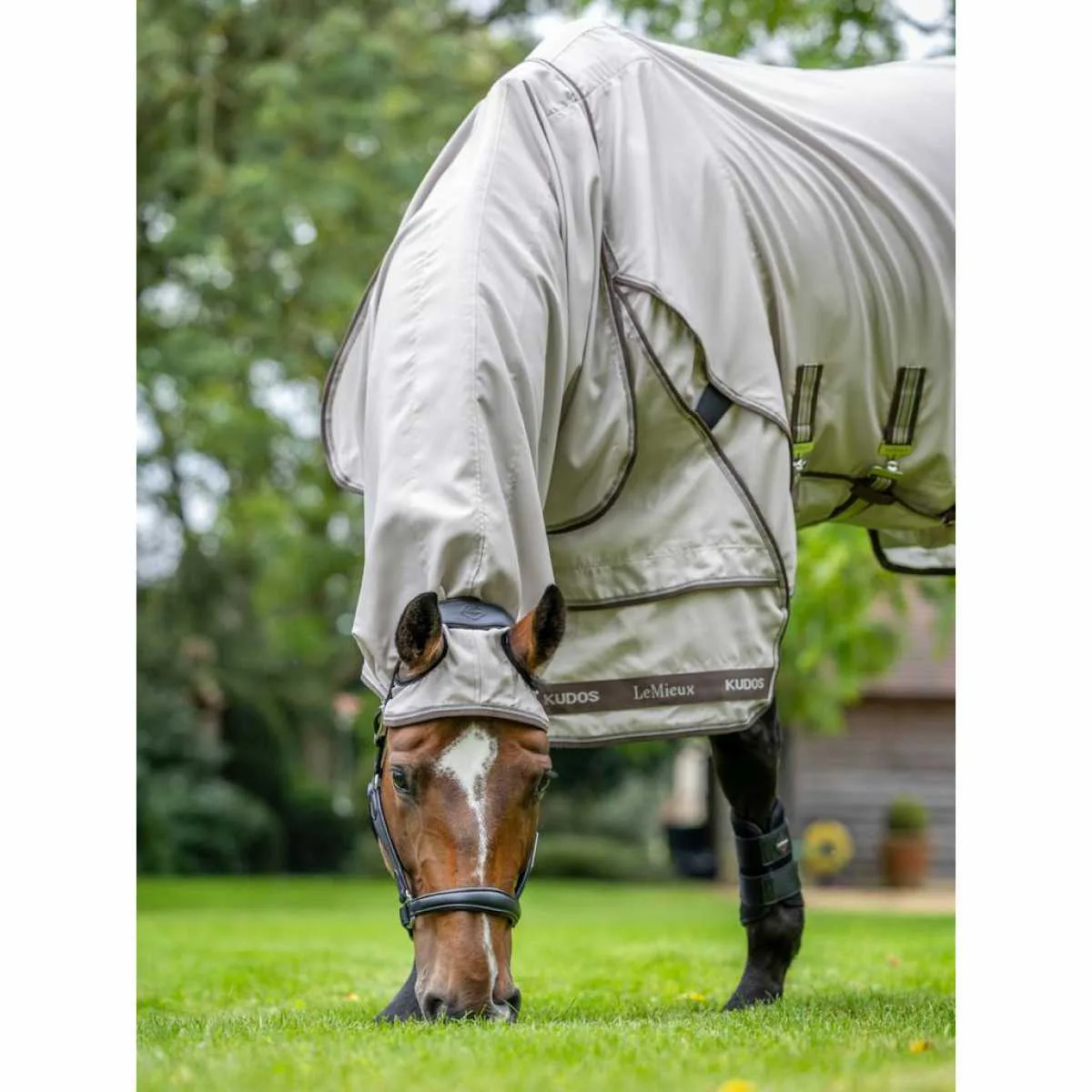 LeMieux Kudos Sweet Itch Rug 40317-06-c1