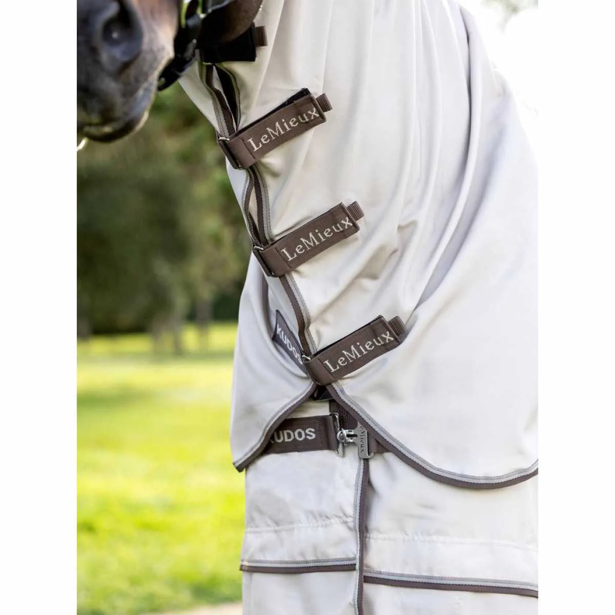 LeMieux Kudos Sweet Itch Rug 40317-06-e1