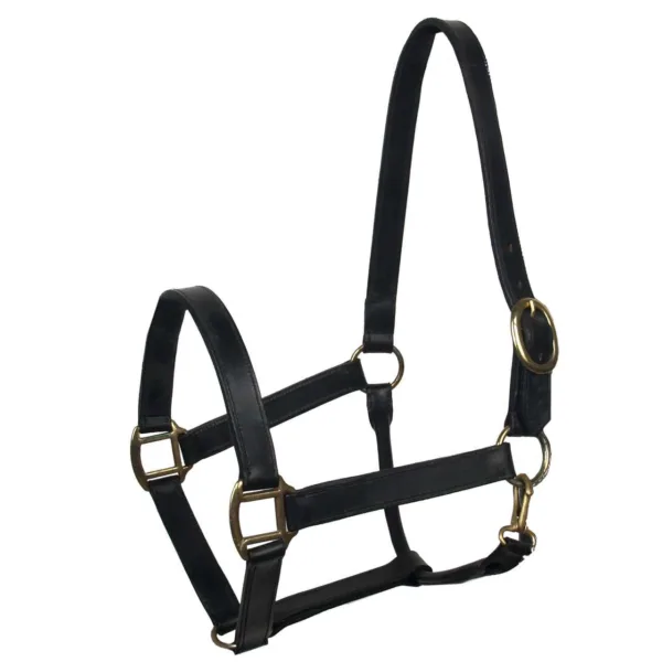 Baseline leren halster