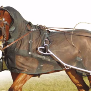 Ideal Tuigvliegendeken met hals - Blauw, 205