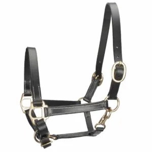 Pagony Leer veulenhalster - Zwart, Veulen