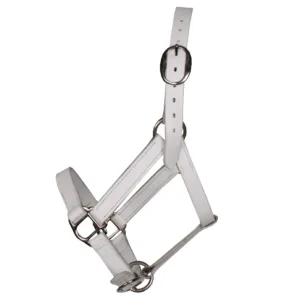 Pagony Shetland breed showhalster 42026-04-a1