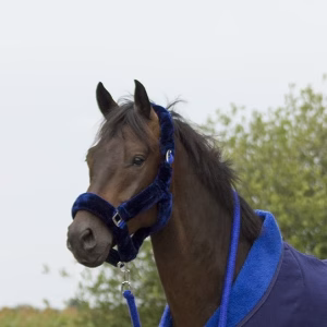 QHP Alaska halster 42125-10-b[1]