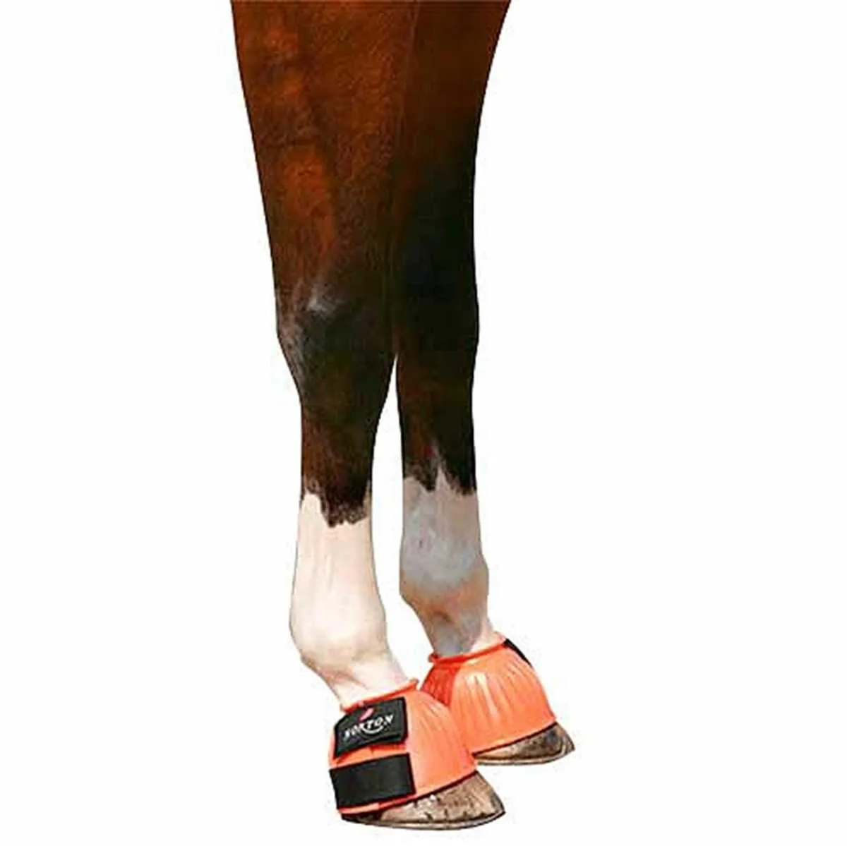 Norton Springschoenen 50374-31-b1