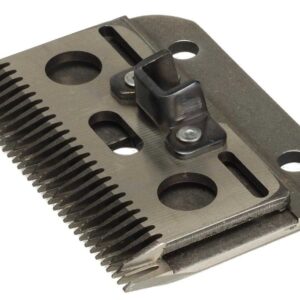 Liscop Messenset paard A-2