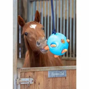 Shires Carrot Ball 61536-10-b[1]