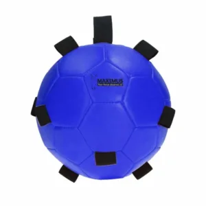 Maximus Fun Play Ball - Blauw