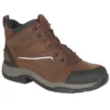 Ariat Telluride II H2o stalschoenen heren 72590 19 a1 1