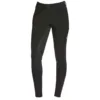 Ariat Ranier FG rijbroek 72910-01-a_61