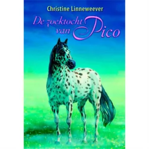 De zoektocht van Pico