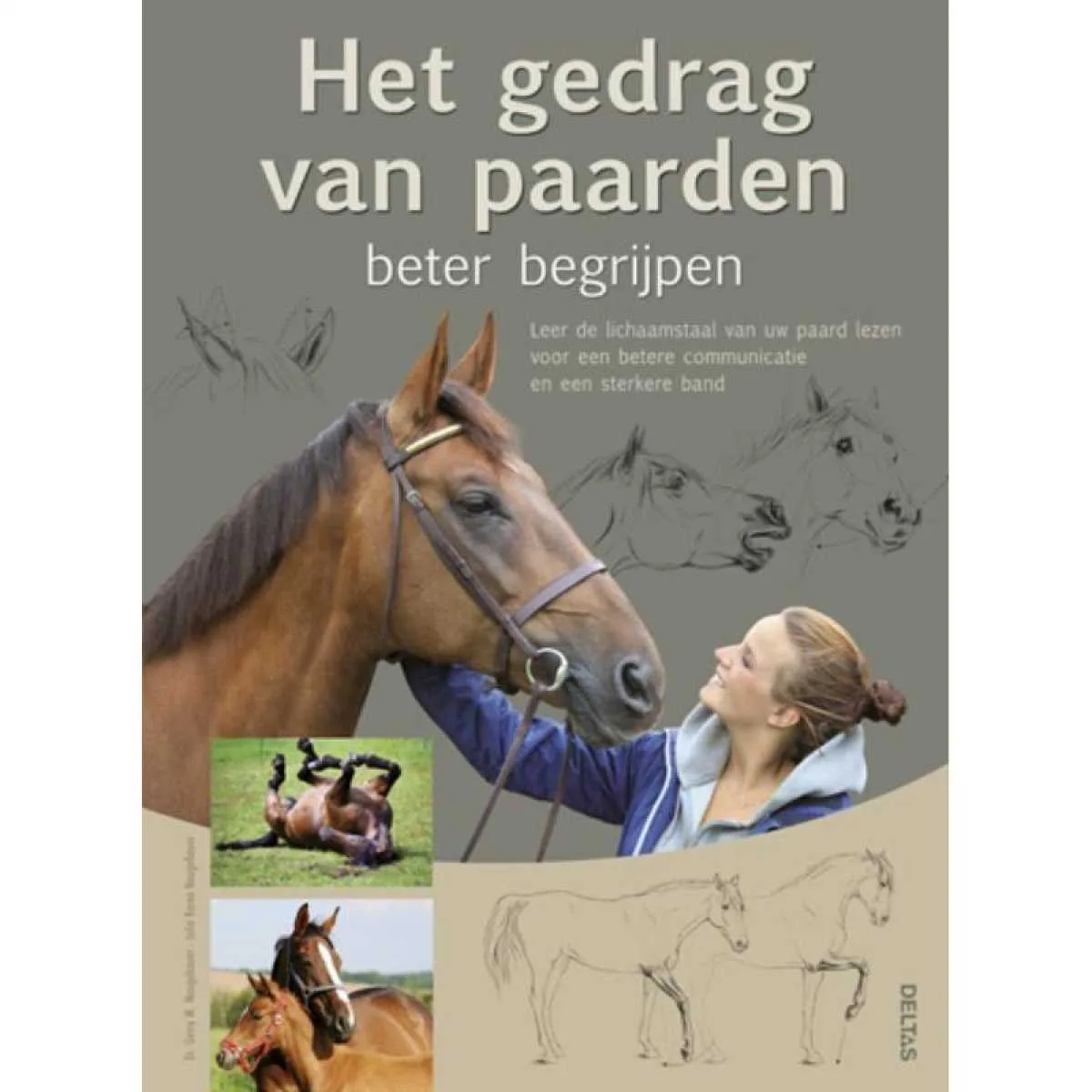Gedrag van paarden beter begrijpen - N.v.t.