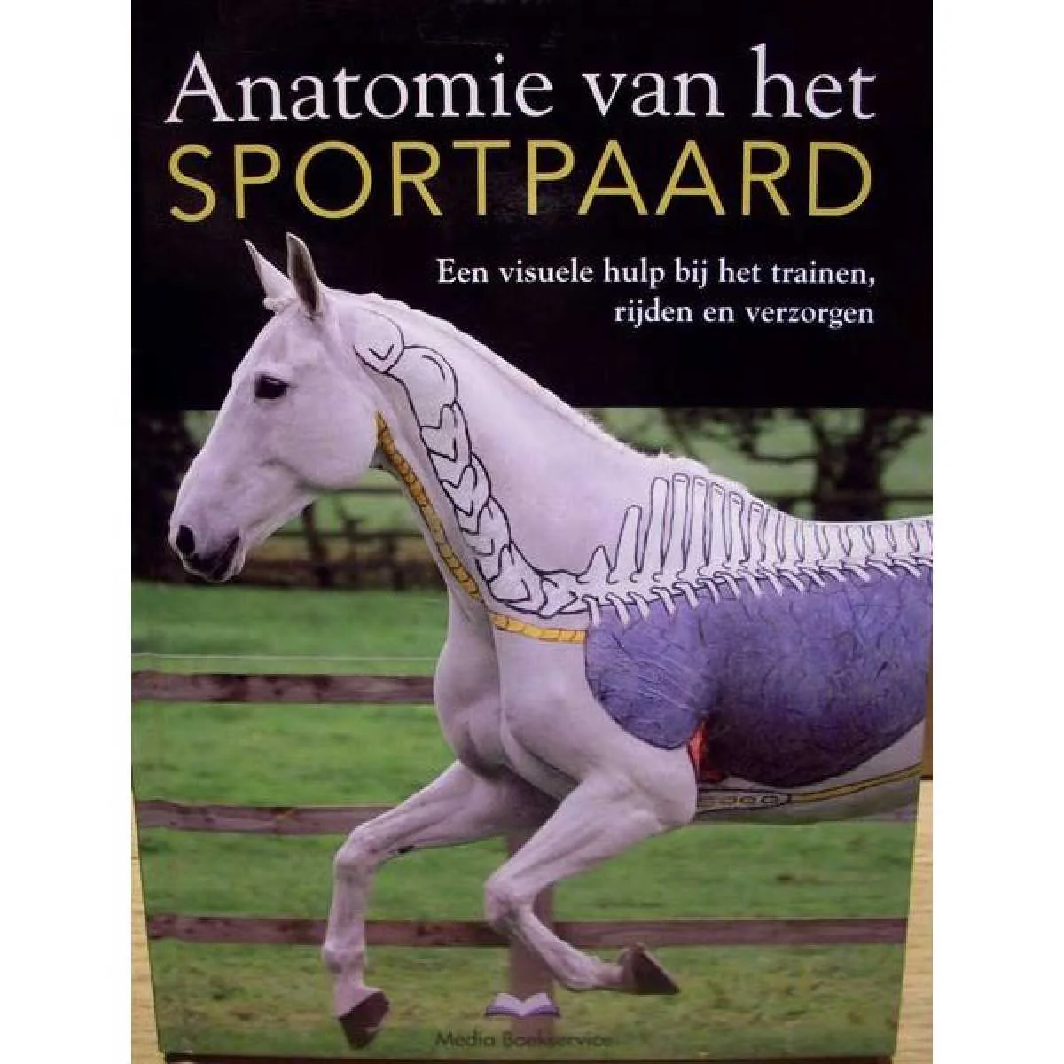 Anatomie van het sportpaard - N.v.t.