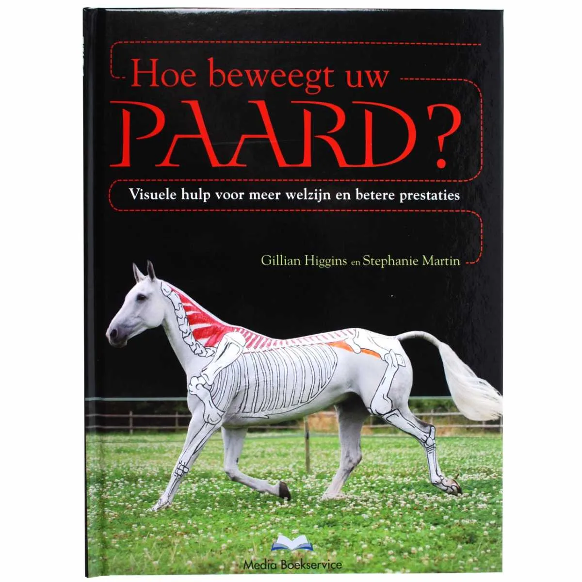 Hoe beweegt uw paard? - N.v.t.