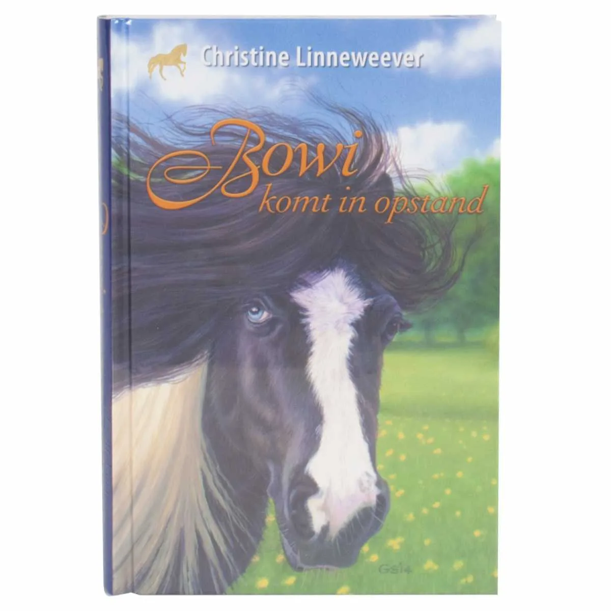 Bowi komt in opstand - N.v.t.