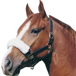 Pagony neusbontje 90214-04-b[1]