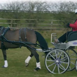 Ideal Euro-tech combi tuig enkelspan - Zwart, Full