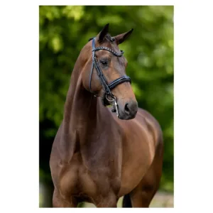 BR Hoofdstel Wendover Stang & trens BR Hoofdstel Wendover Stang & trens 20792-01-b