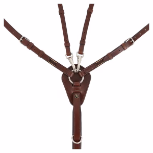 BR voortuig Corsham Oak 21372-19-b[1]