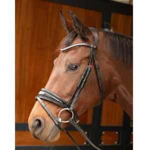 HH Hoofdstel Rosegold Lacque II zwart 21190 01 b