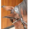 HH Hoofdstel Rosegold Lacque II zwart 21190 01 c