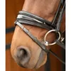 HH Hoofdstel Rosegold Lacque II zwart 21190 01 d
