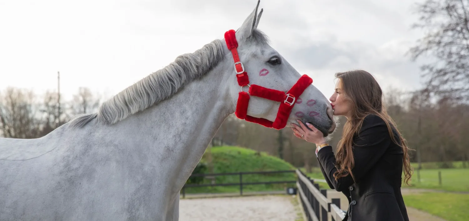 HP Valentijn achtergrond scaled