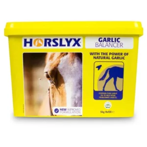 Horslyx Garlic 5kg liksteen 61021a