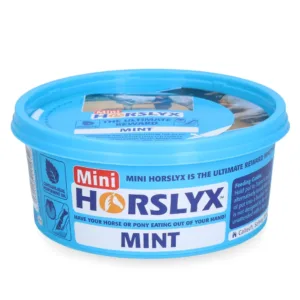Horslyx Mini liksteen mint 60933a