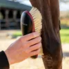 LeMieux Dandy Brush zwart sfeer