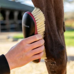 LeMieux Dandy Brush zwart sfeer