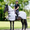 LeMieux Fly Rider Rug - grijs, xl