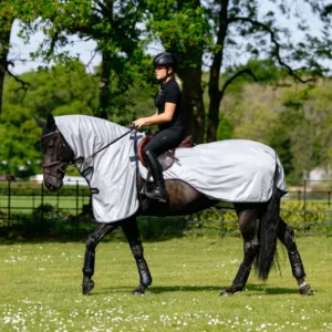 LeMieux Fly Rider Rug 40352b