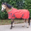 Pagony Pony Turnout 0gr 40225 19 c